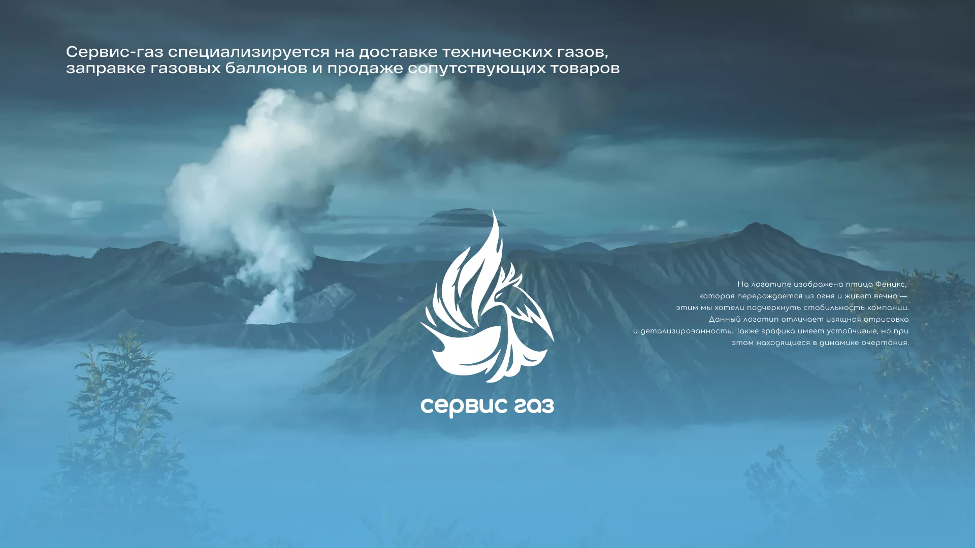 Создание сайта компании «Сервис газ» в Лесном