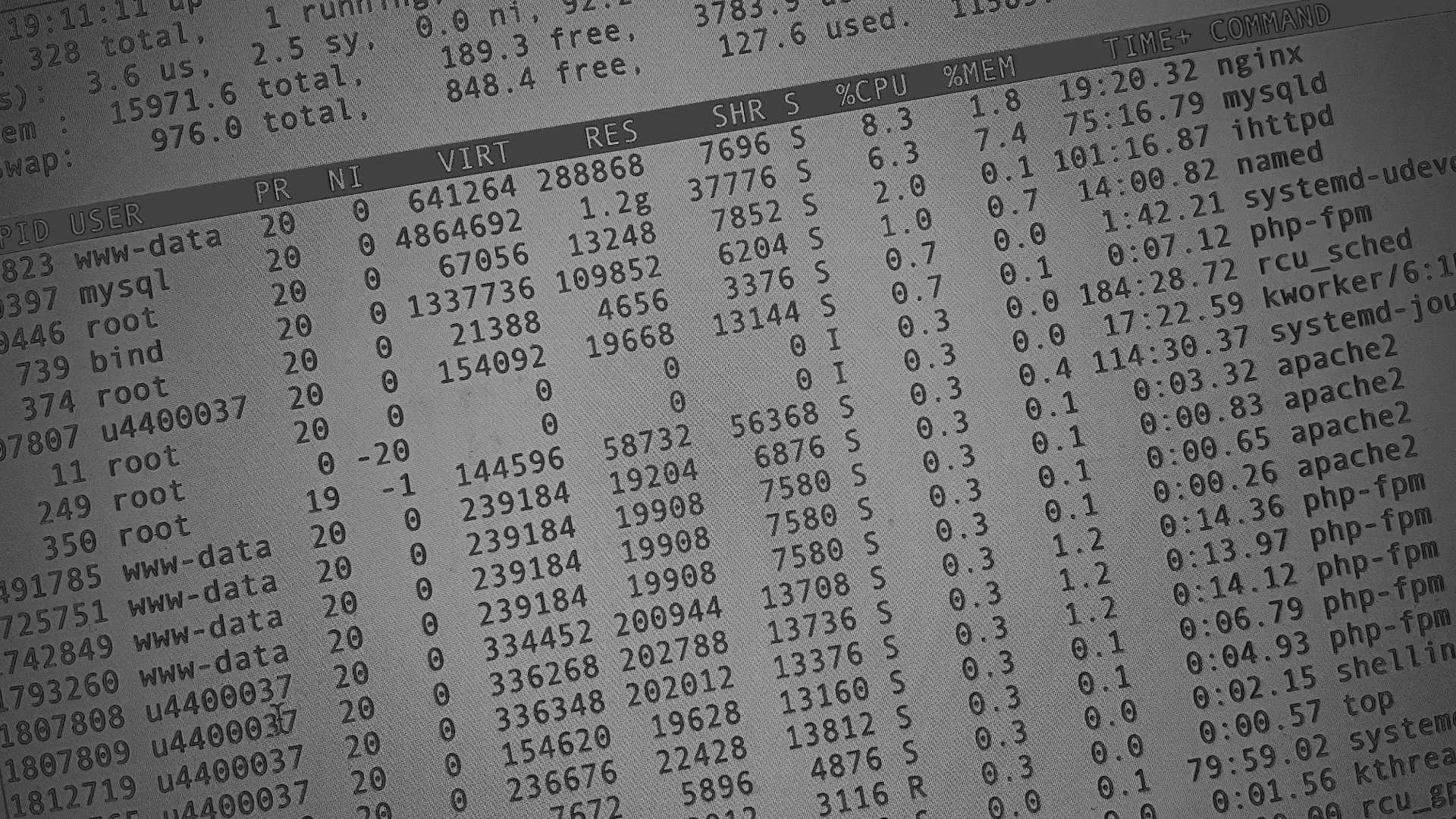 Настройка сервера в Лесном